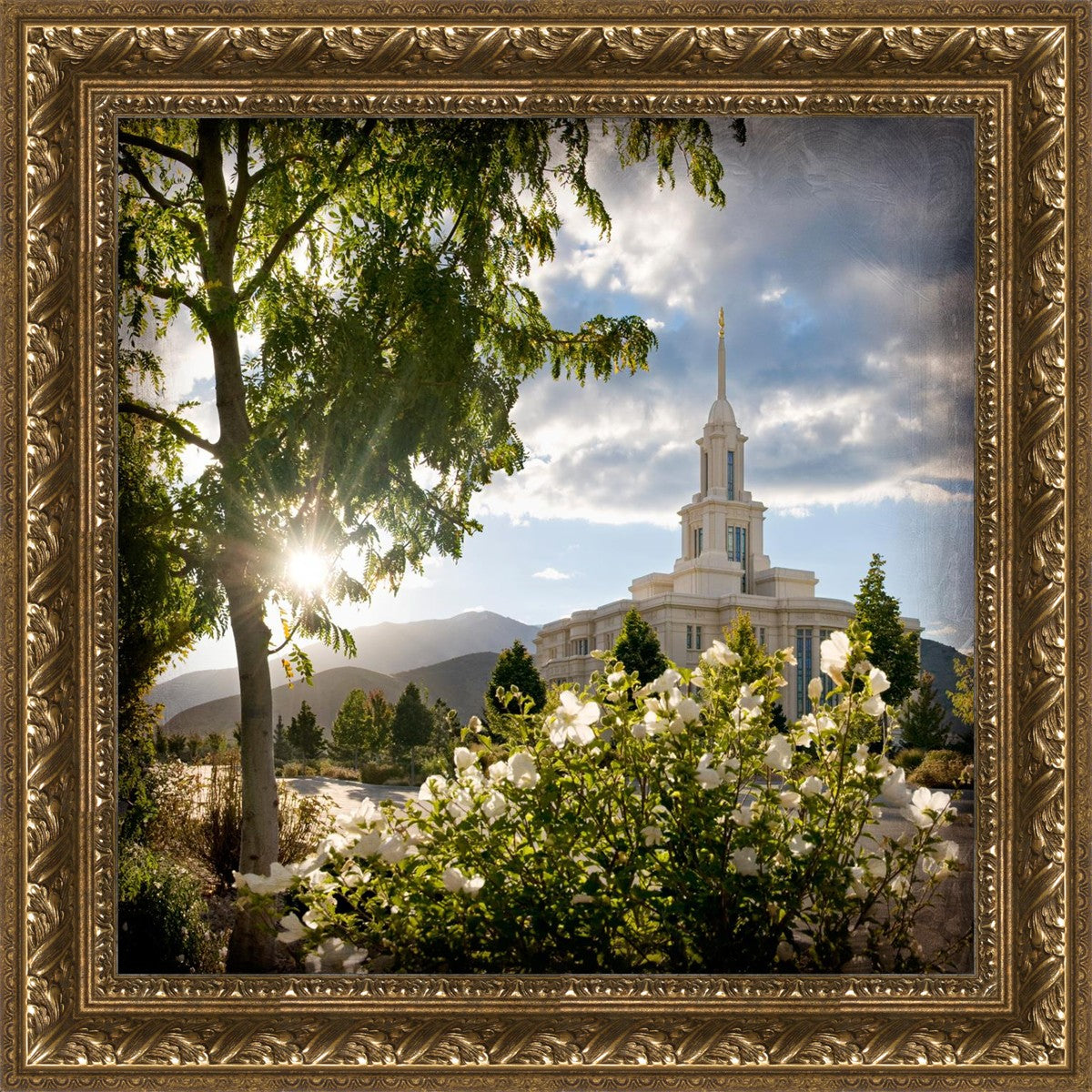 Payson Brightness and Glory