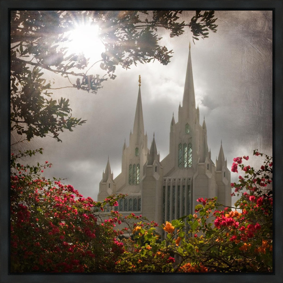 San Diego Brightness and Glory