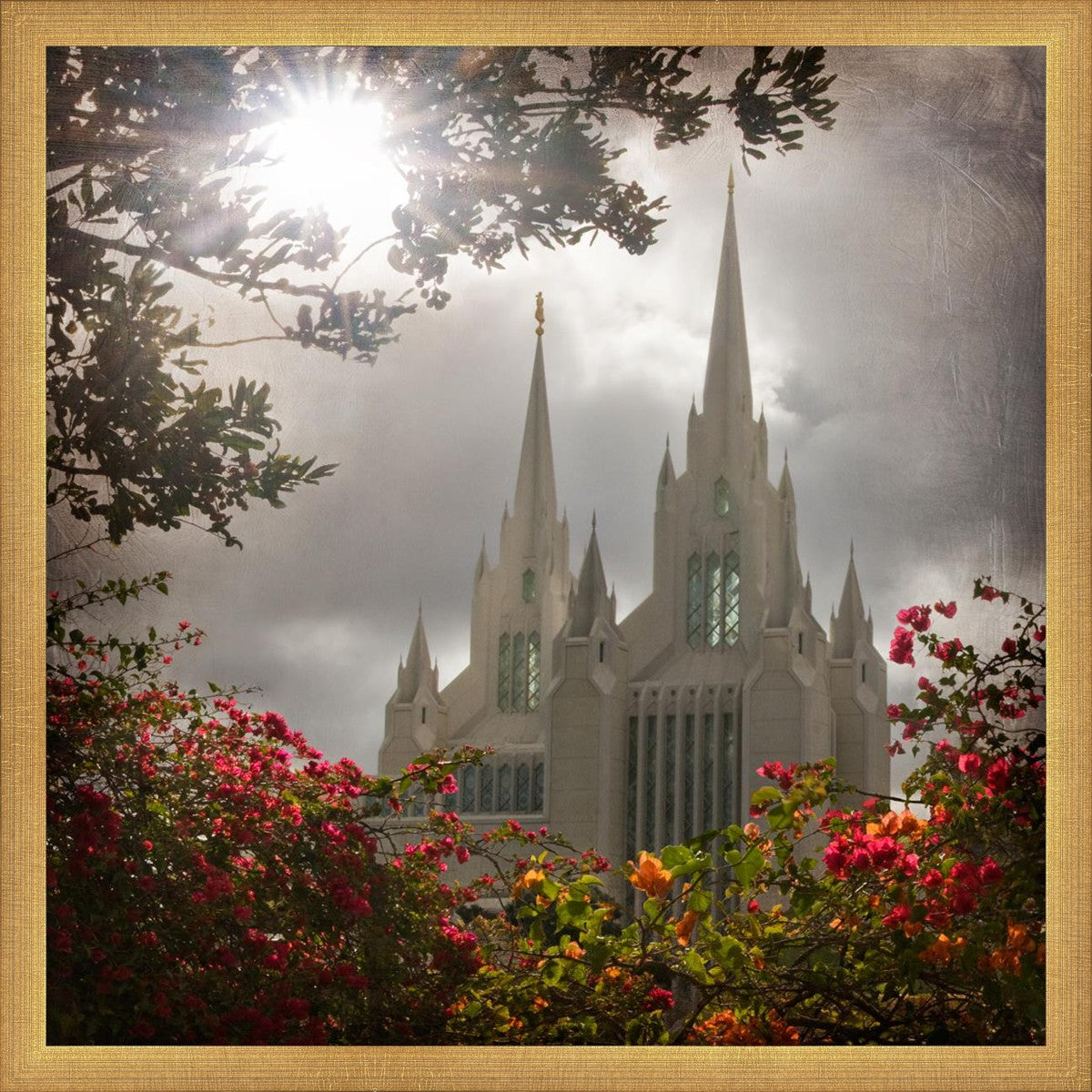 San Diego Brightness and Glory