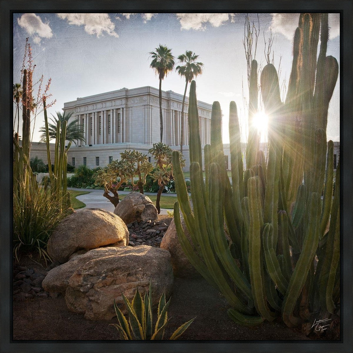 Mesa Brightness and Glory