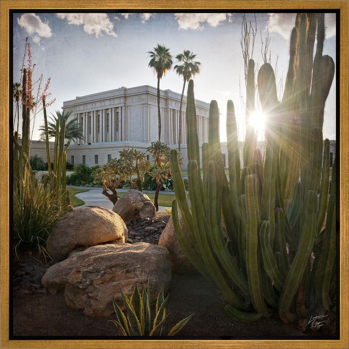 Mesa Brightness and Glory