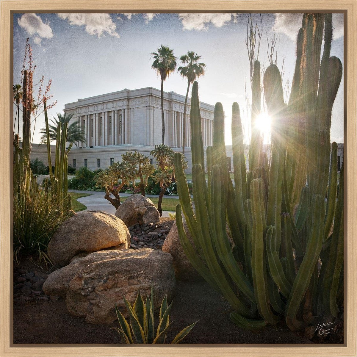 Mesa Brightness and Glory