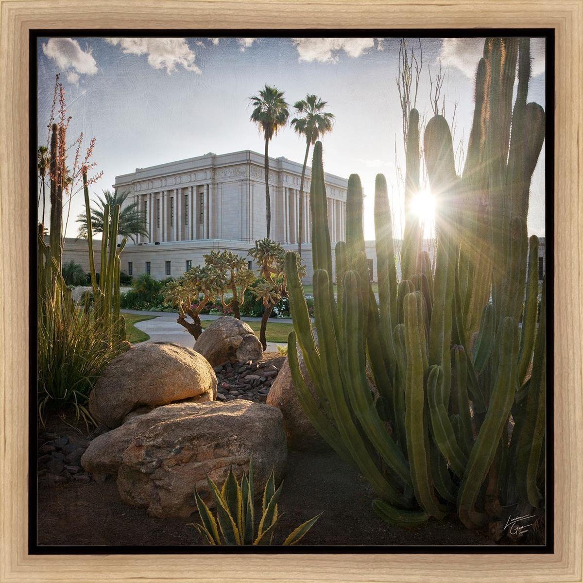 Mesa Brightness and Glory