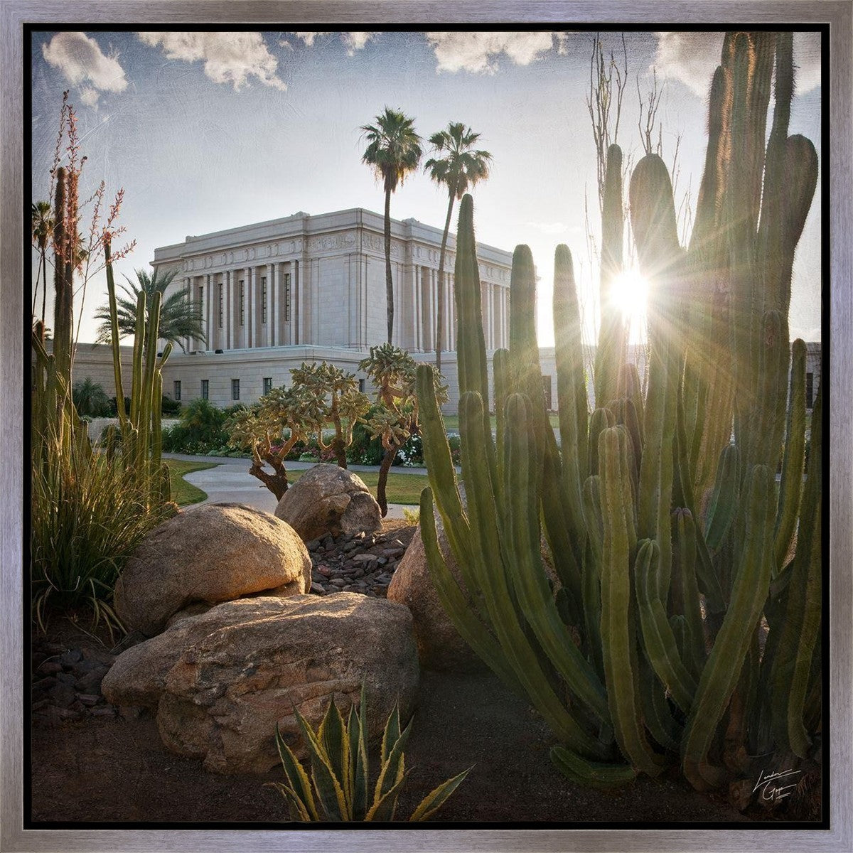 Mesa Brightness and Glory