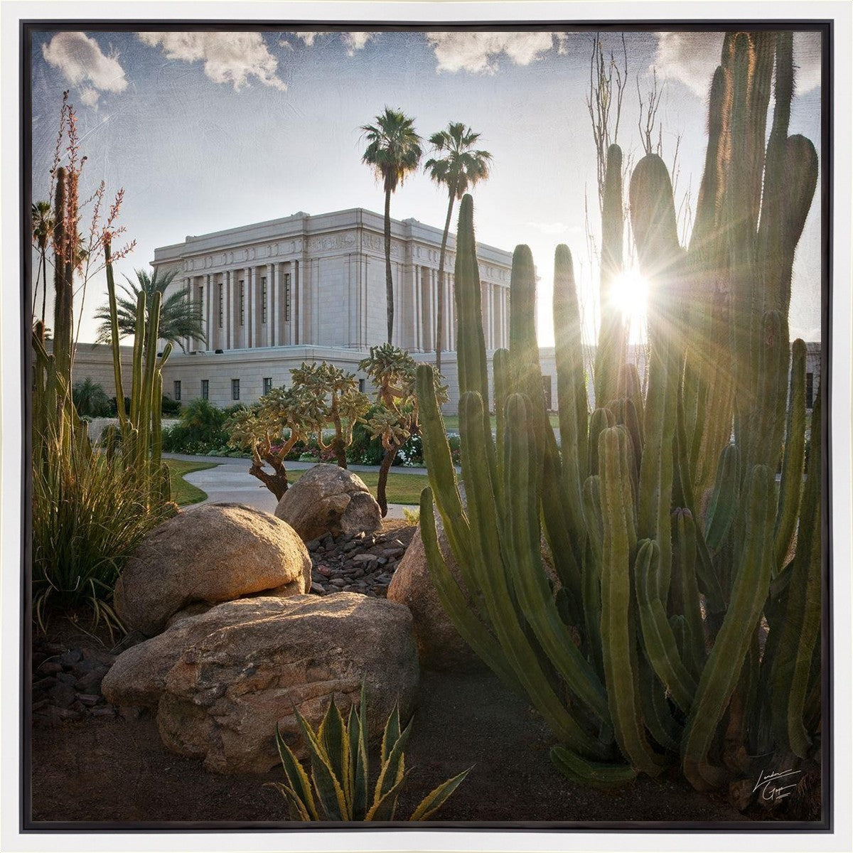 Mesa Brightness and Glory