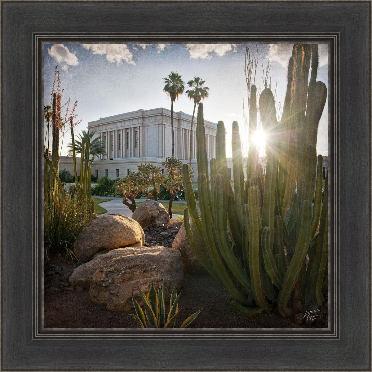 Mesa Brightness and Glory