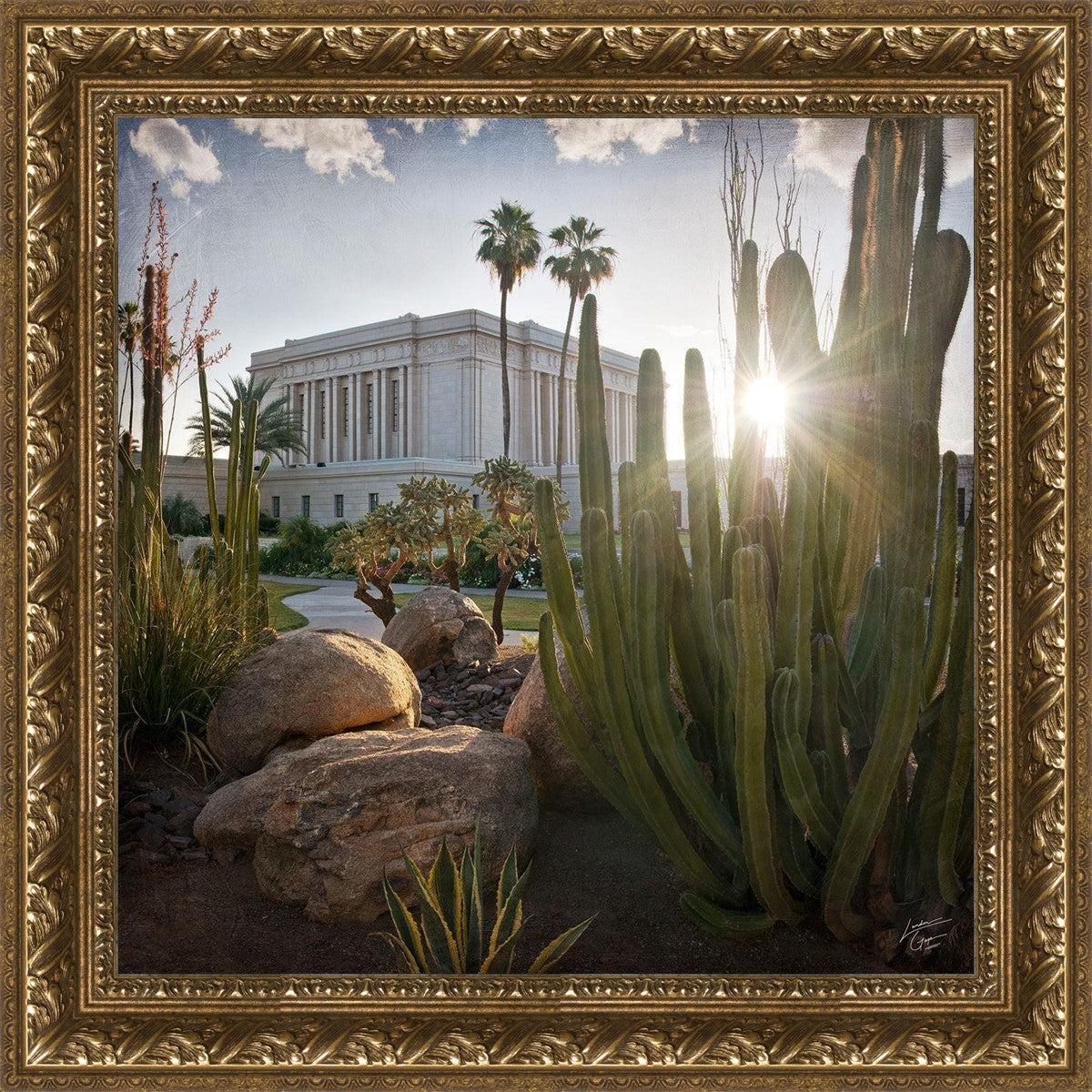 Mesa Brightness and Glory