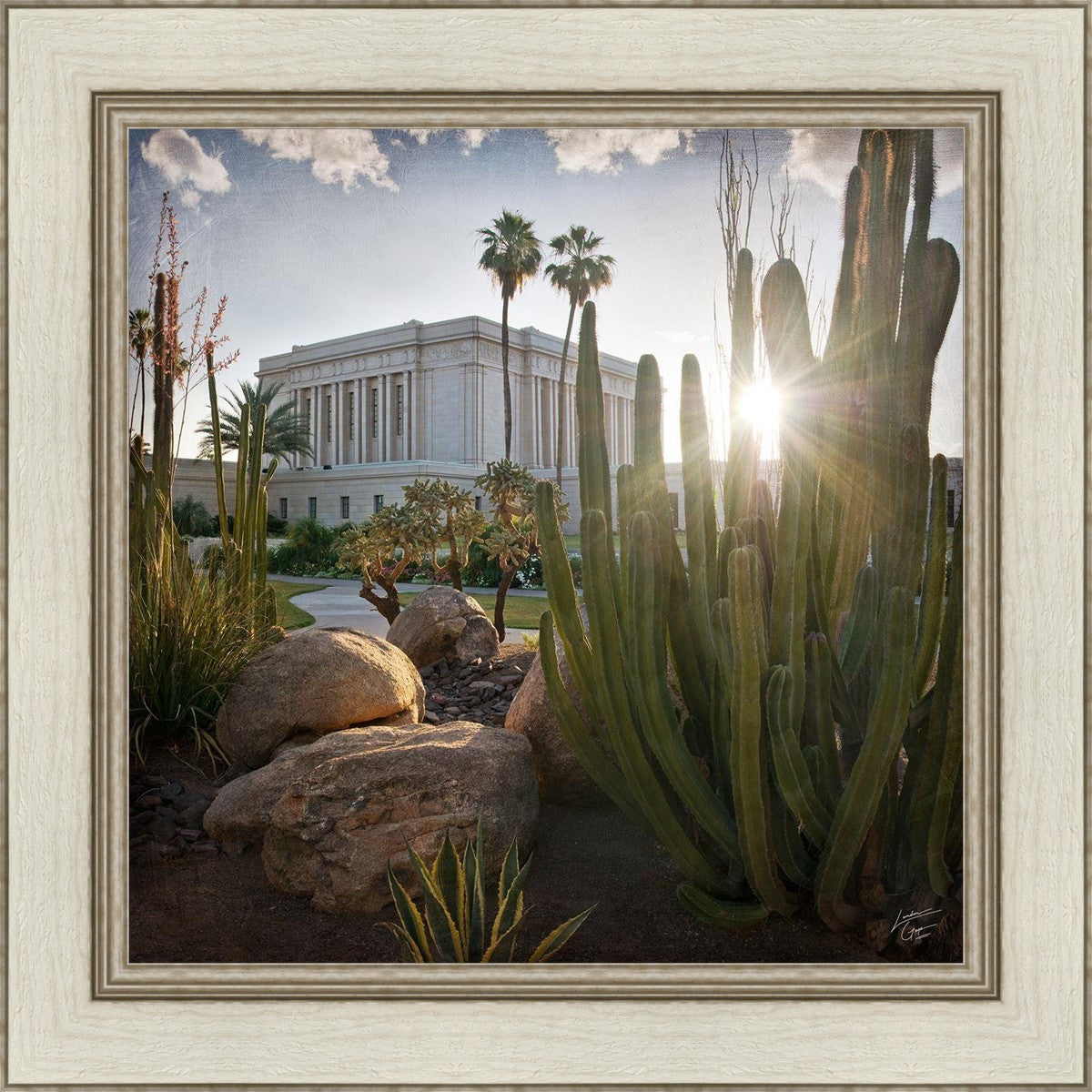 Mesa Brightness and Glory