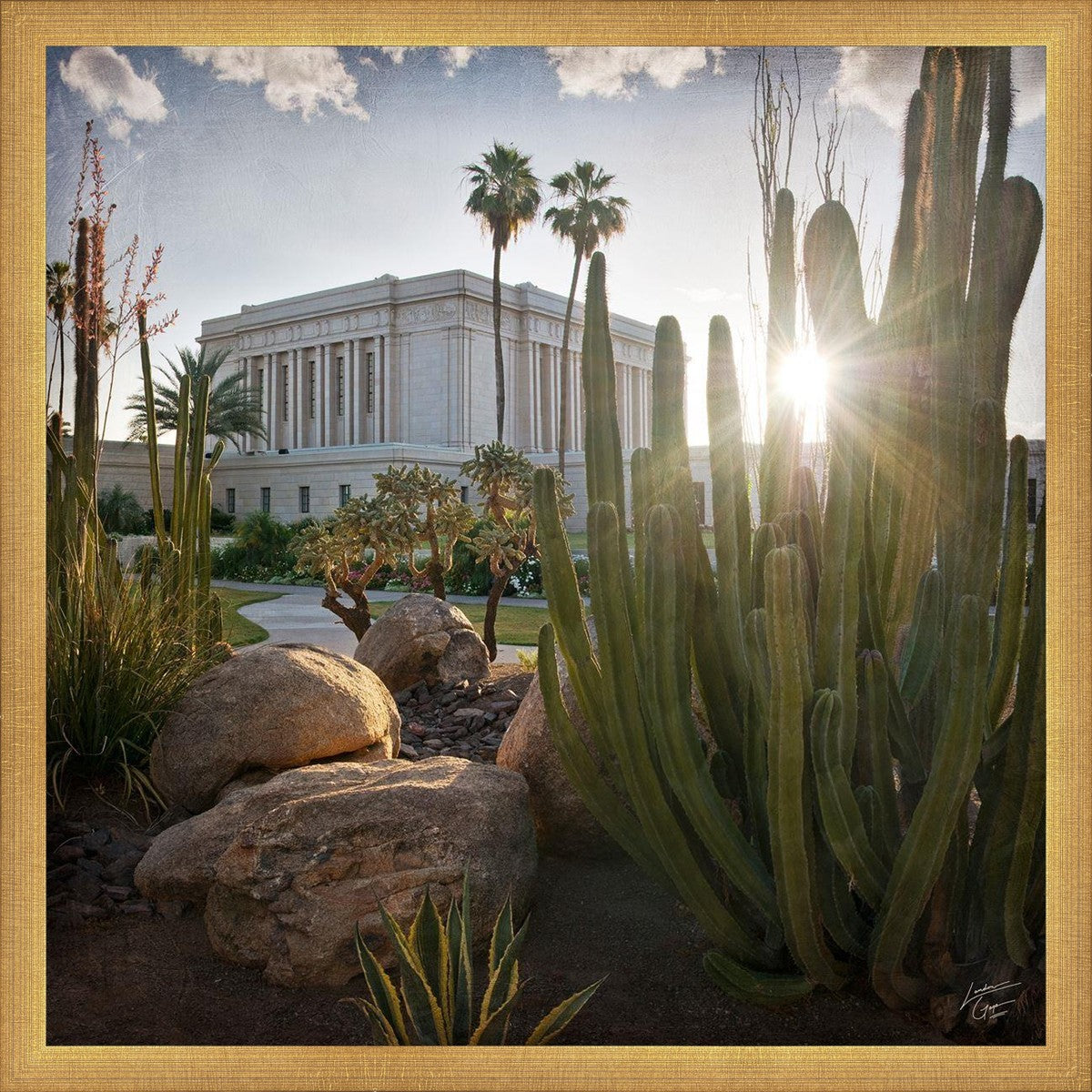 Mesa Brightness and Glory