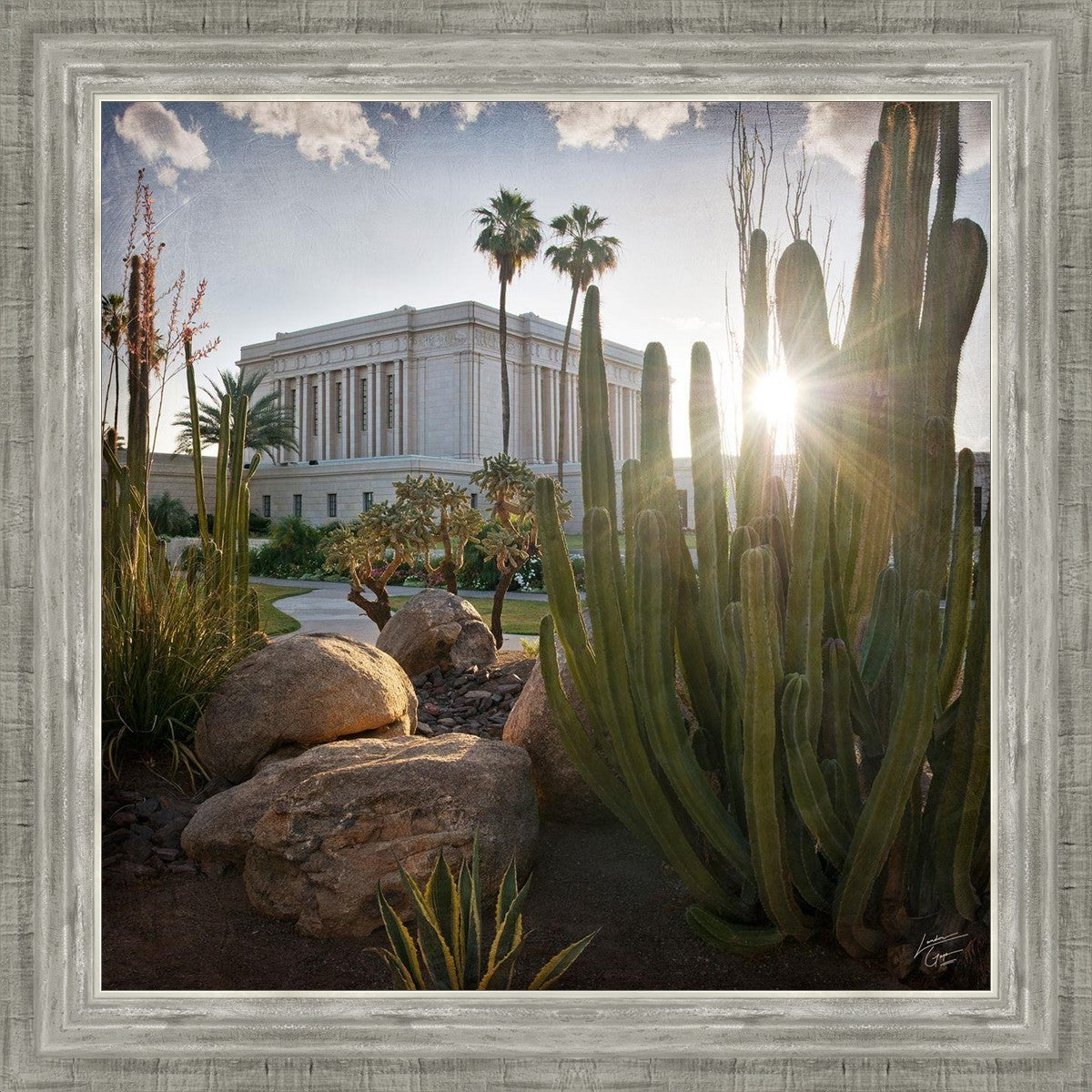 Mesa Brightness and Glory