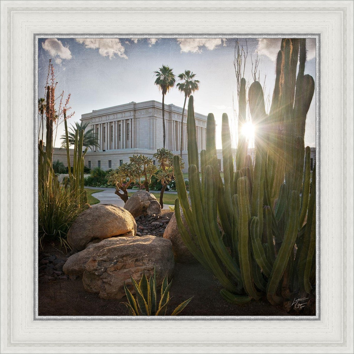 Mesa Brightness and Glory