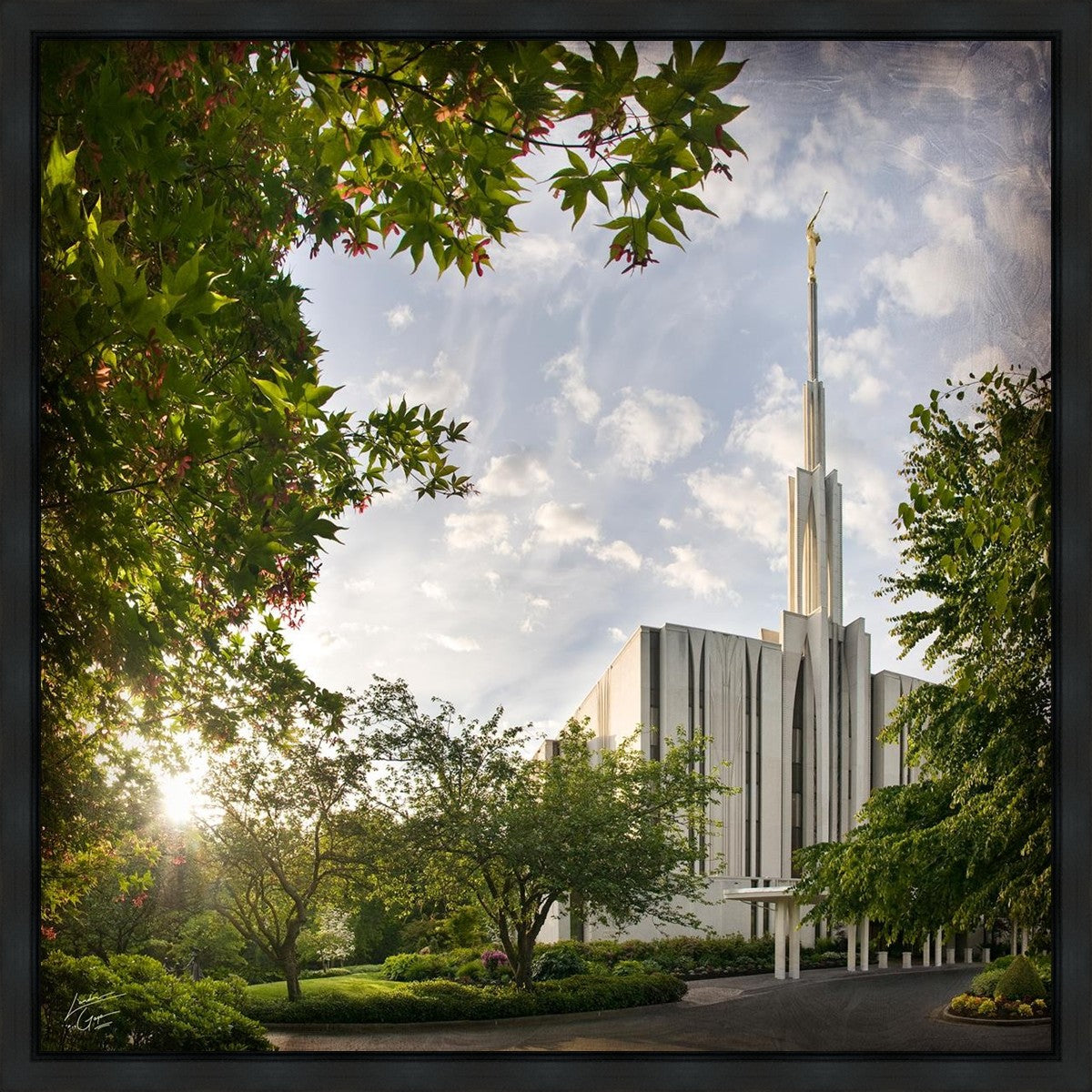 Seattle Brightness and Glory