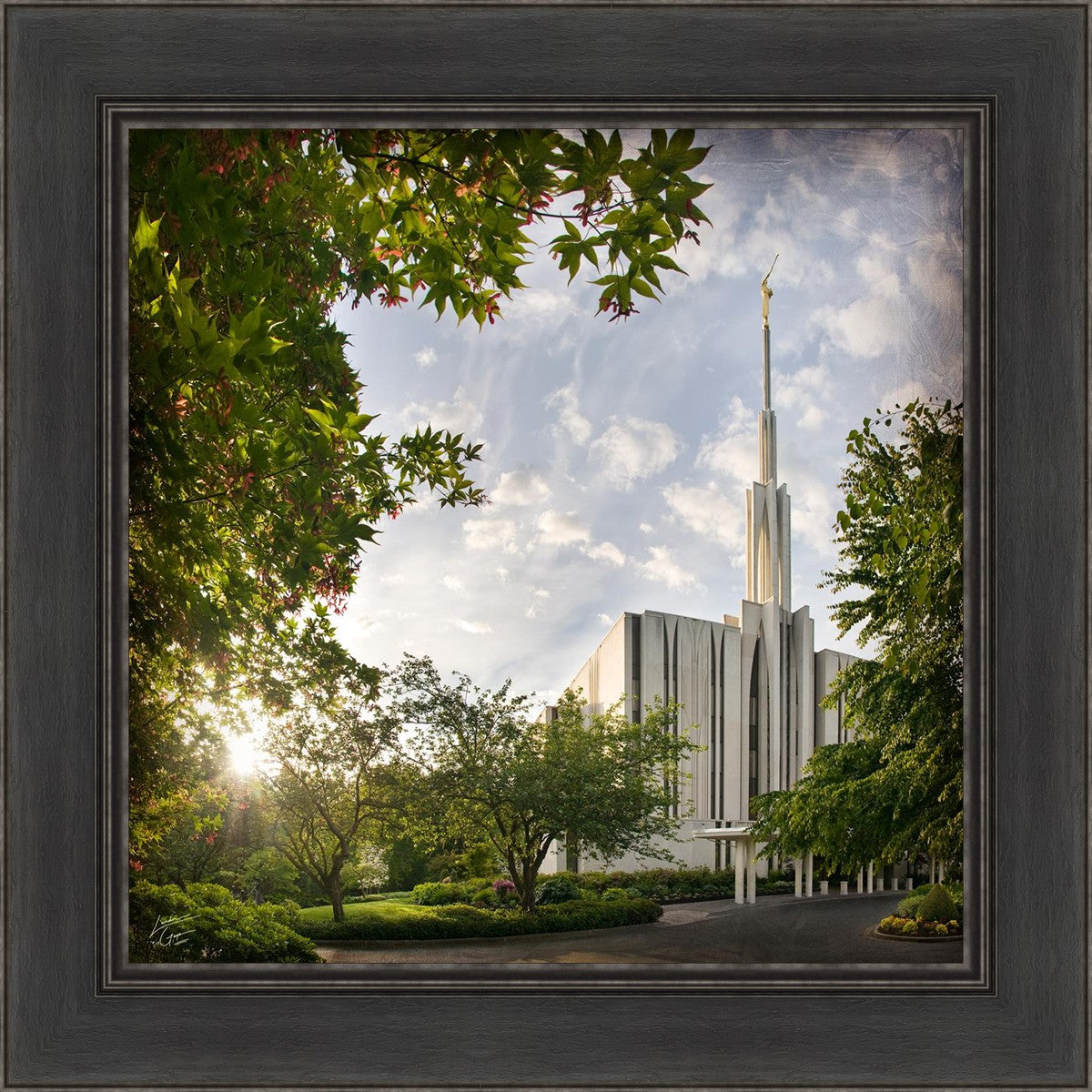 Seattle Brightness and Glory