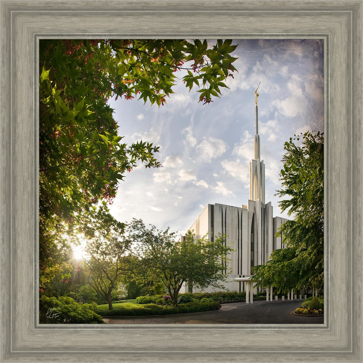 Seattle Brightness and Glory