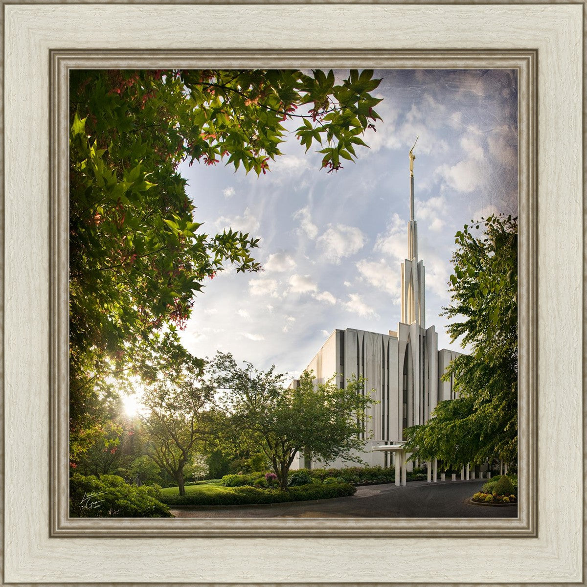 Seattle Brightness and Glory