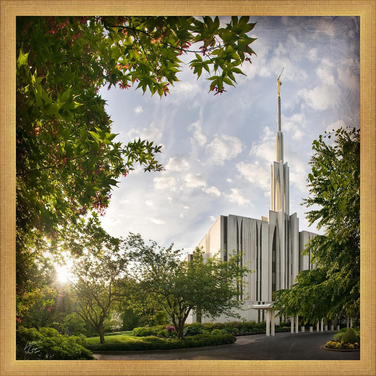 Seattle Brightness and Glory