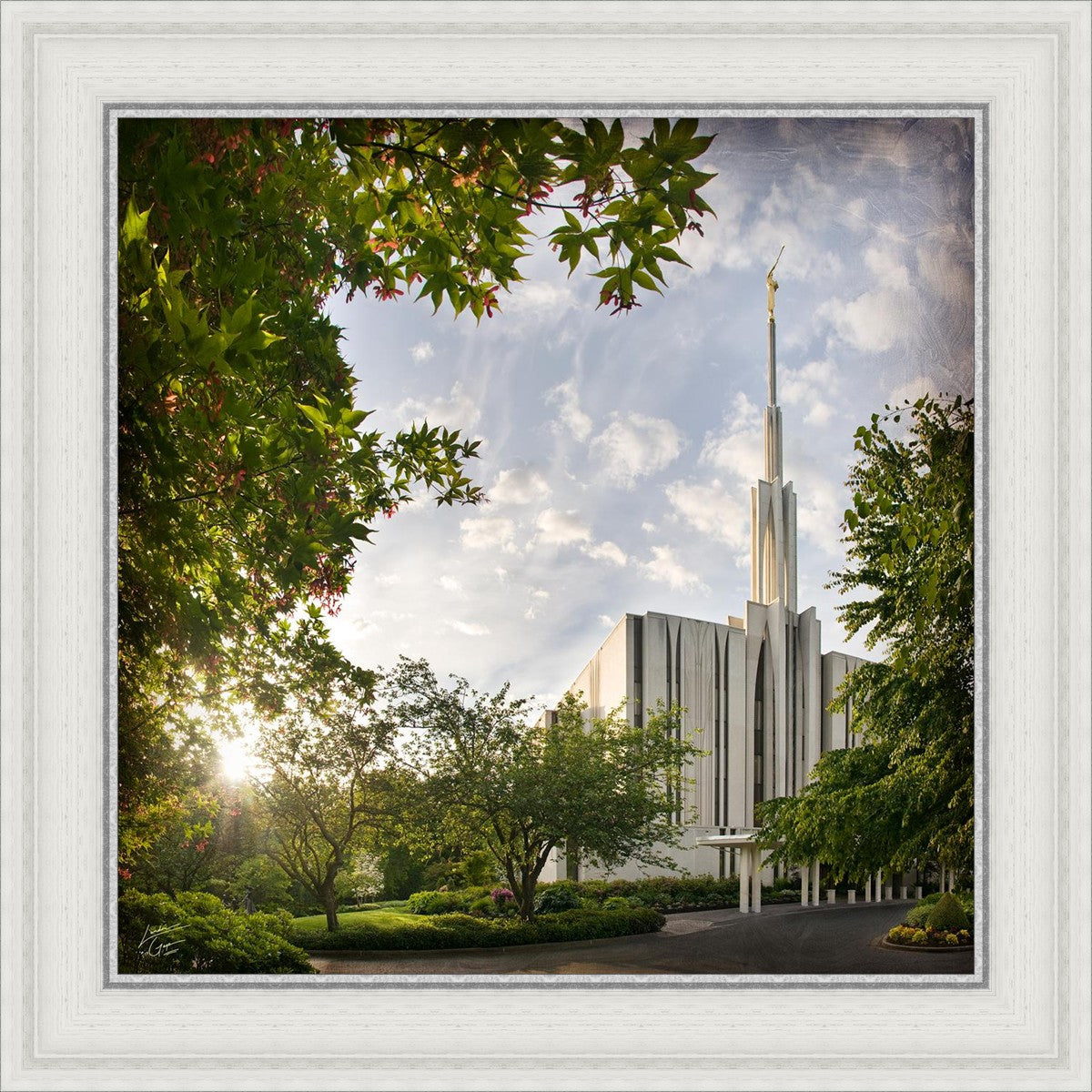 Seattle Brightness and Glory