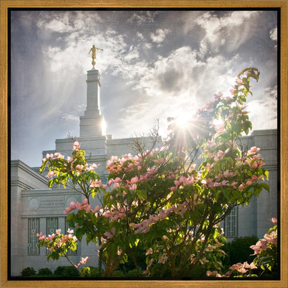 Spokane Brightness and Glory Gallery Wrap