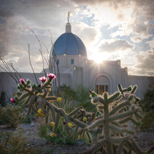 Tucson Brightness and Glory Gallery Wrap