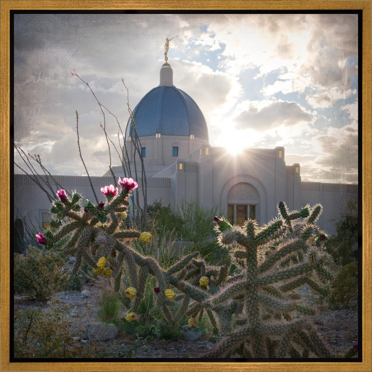 Tucson Brightness and Glory