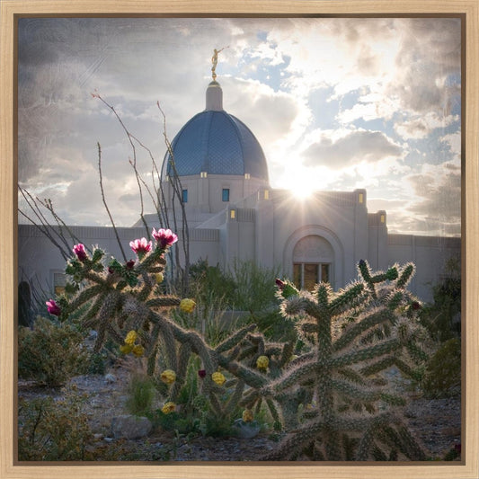 Tucson Brightness and Glory