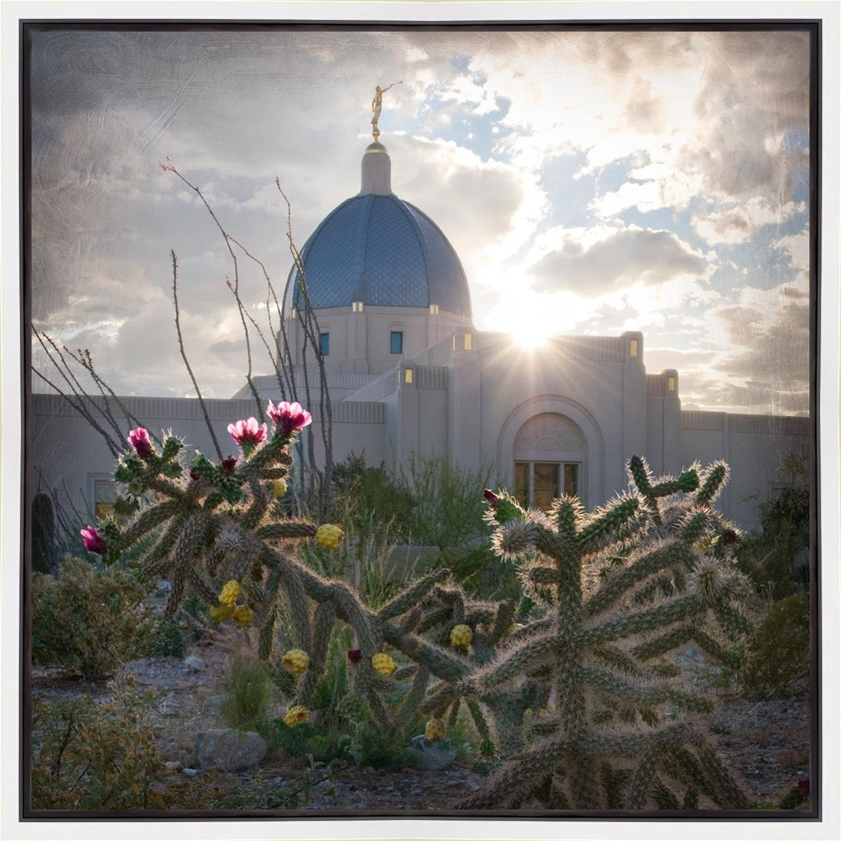 Tucson Brightness and Glory