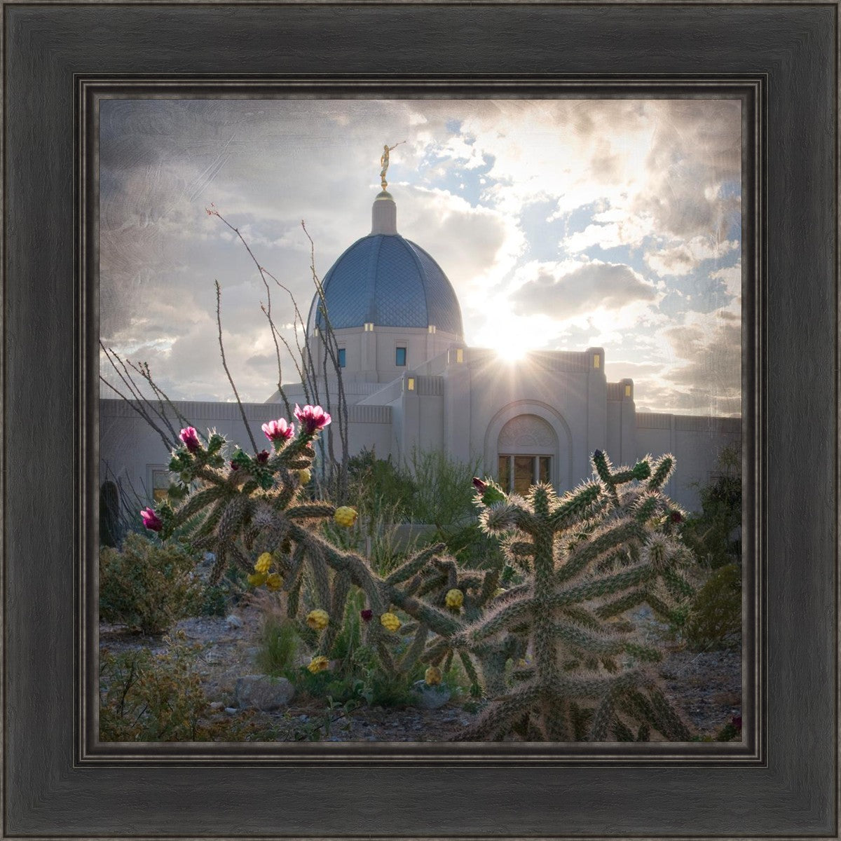 Tucson Brightness and Glory