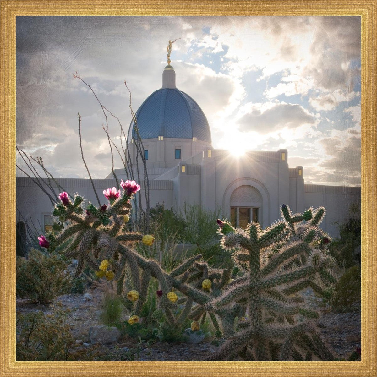 Tucson Brightness and Glory