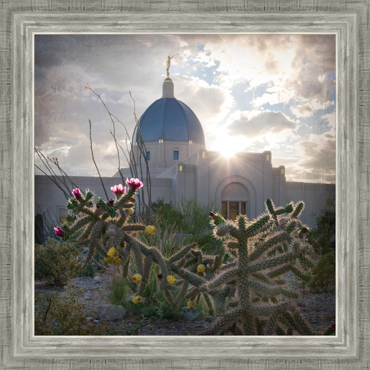 Tucson Brightness and Glory