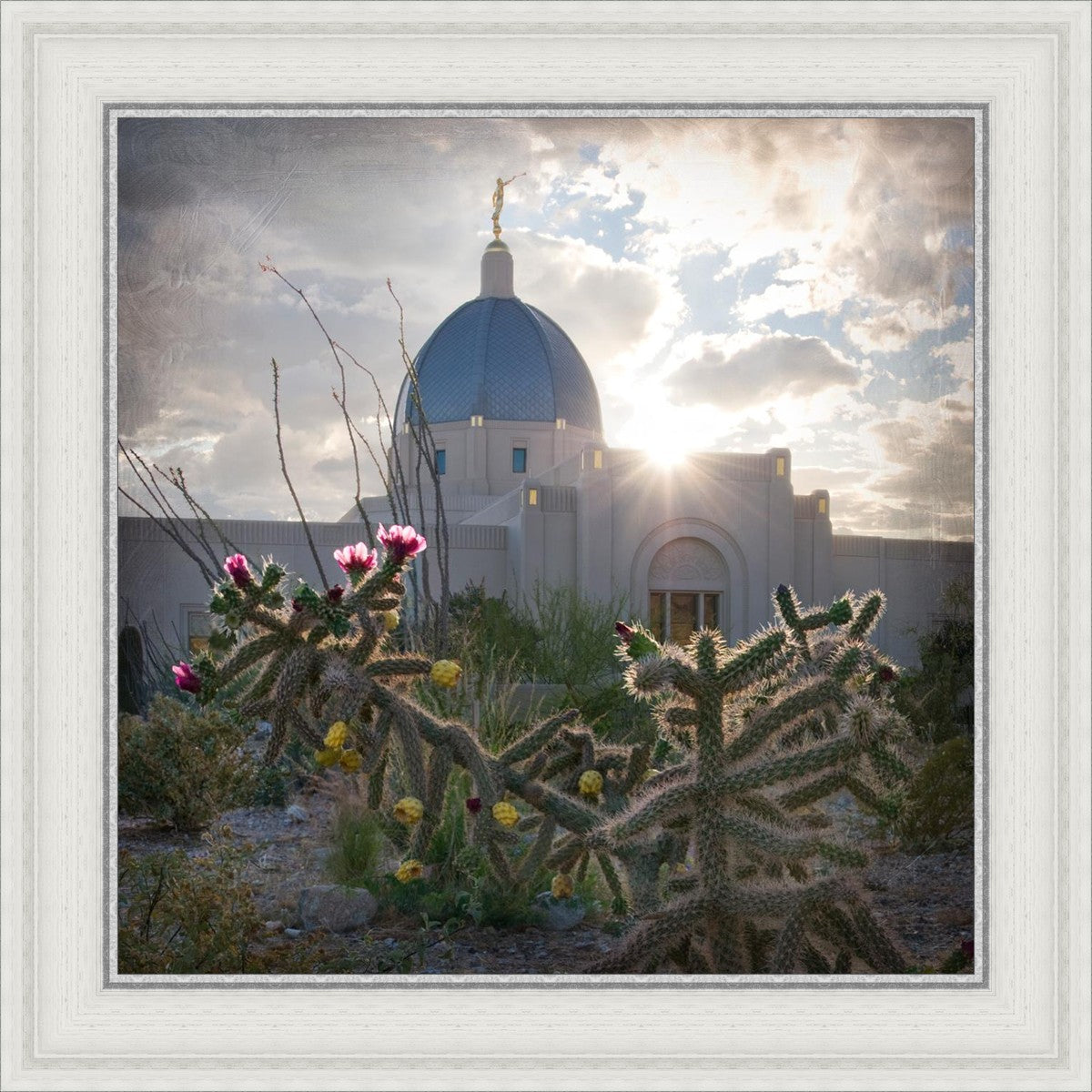 Tucson Brightness and Glory