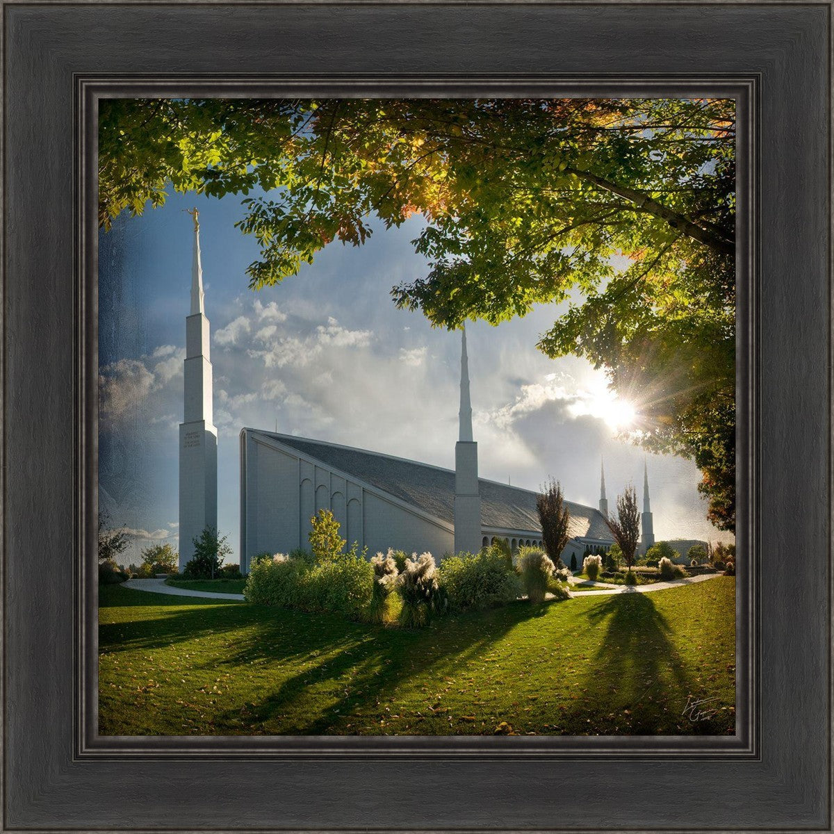 Boise Brightness and Glory