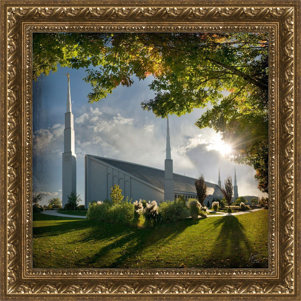 Boise Brightness and Glory