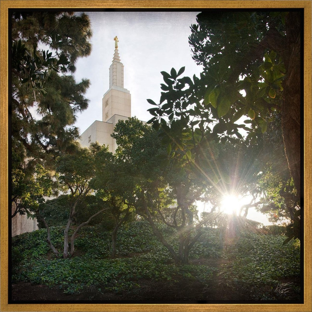 Los Angeles Brightness and Glory