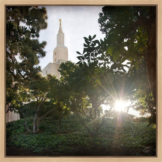 Los Angeles Brightness and Glory