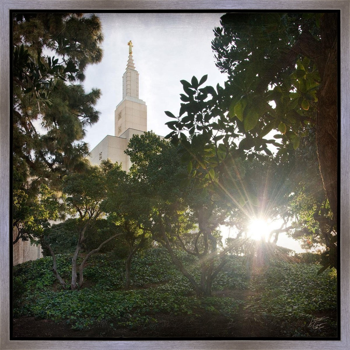 Los Angeles Brightness and Glory