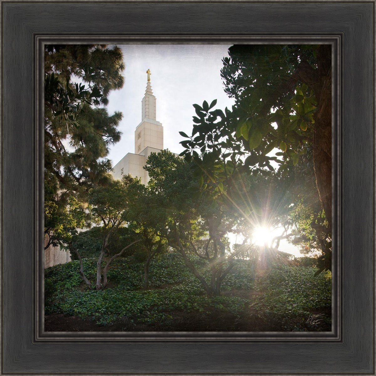 Los Angeles Brightness and Glory