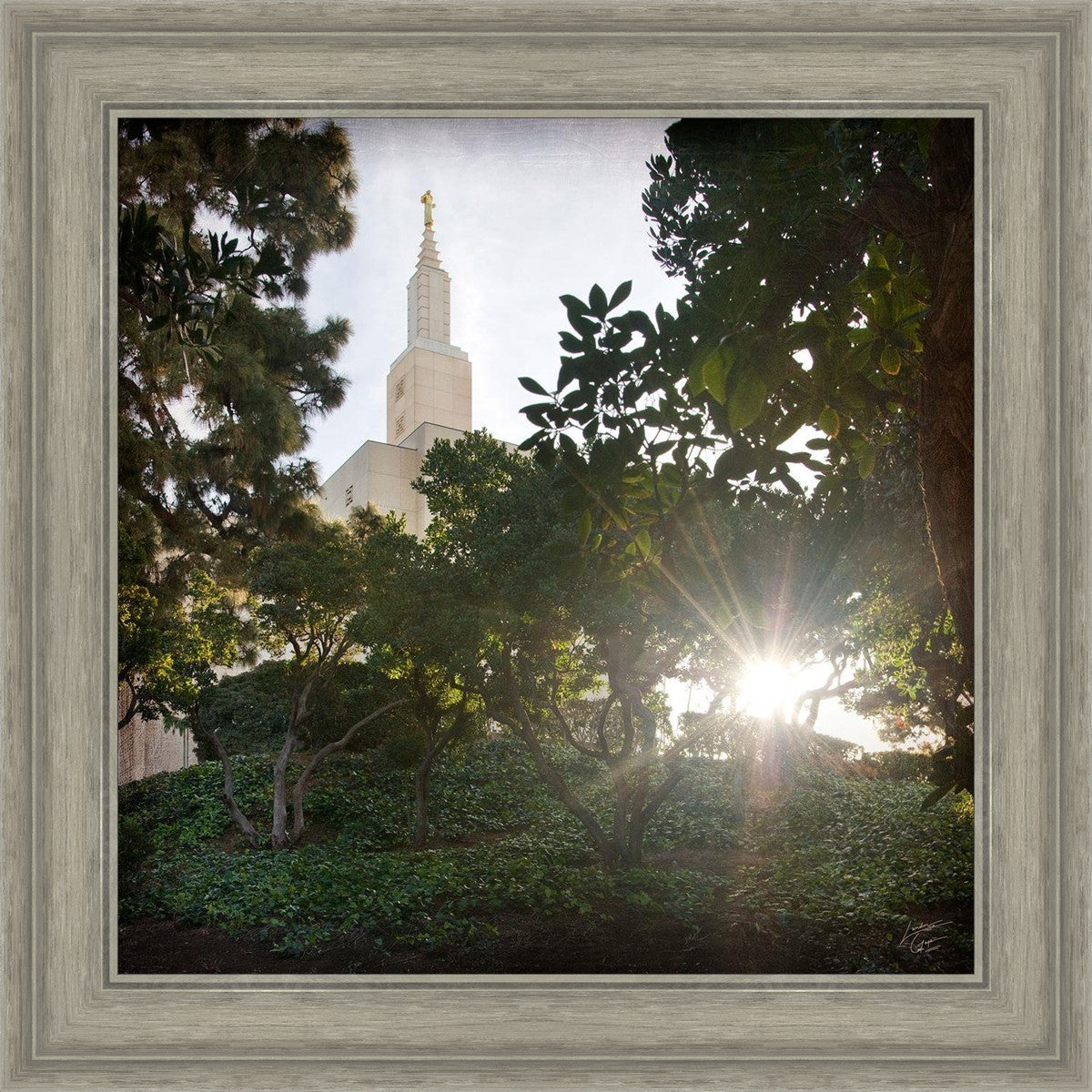 Los Angeles Brightness and Glory