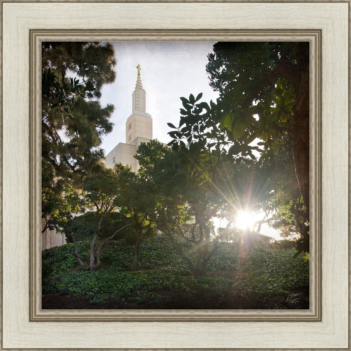 Los Angeles Brightness and Glory