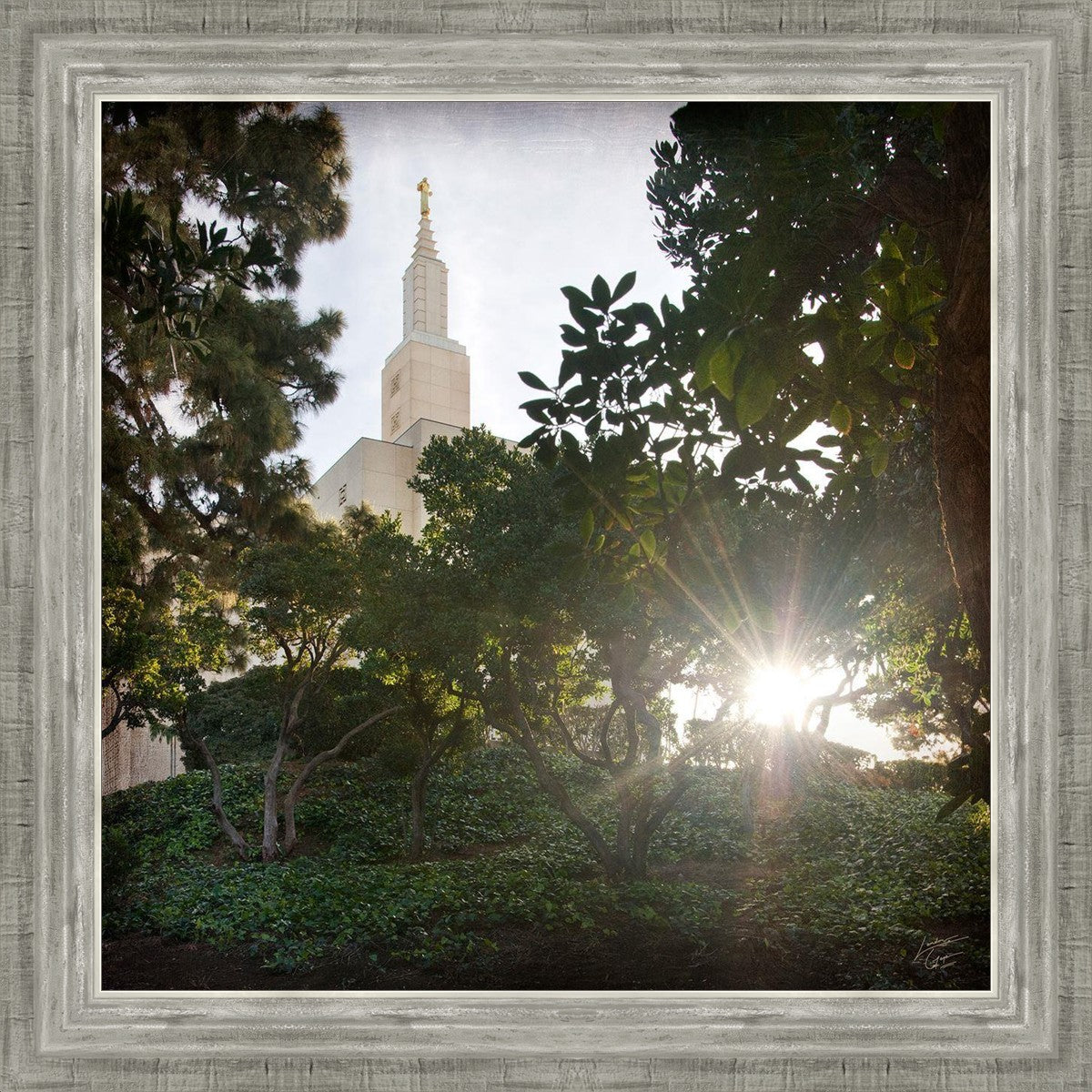 Los Angeles Brightness and Glory