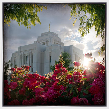 Meridian Brightness and Glory Gallery Wrap