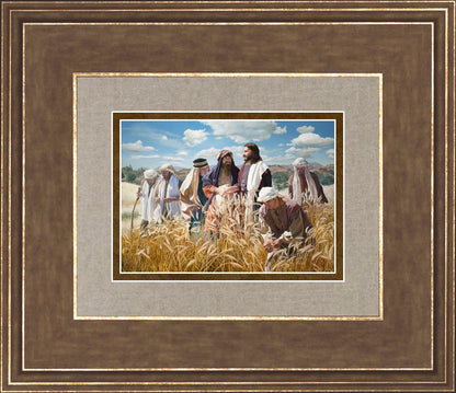 Lord of the Sabbath