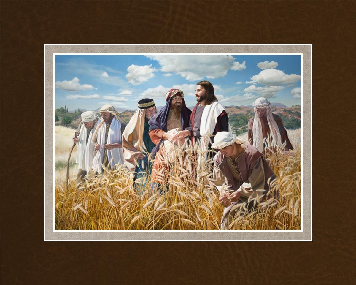 Lord of the Sabbath