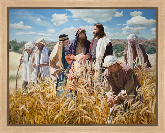 Lord of the Sabbath