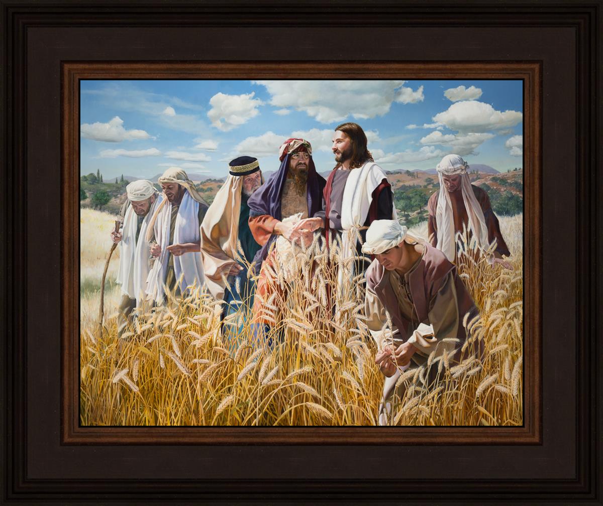 Lord of the Sabbath