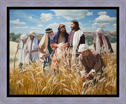 Lord of the Sabbath
