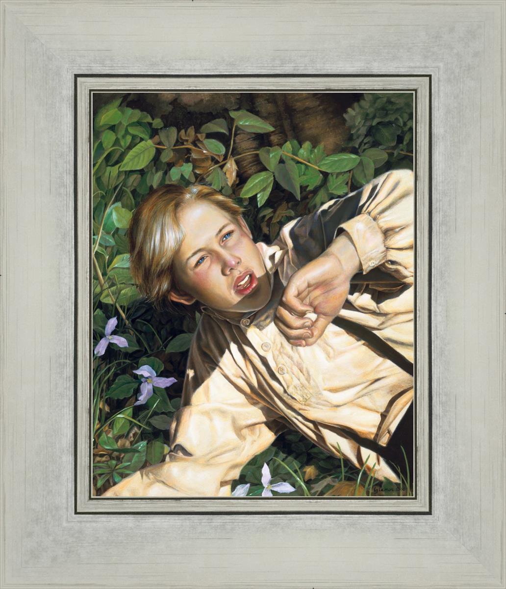 first vision by liz lemon swindle 14 year-old joseph smith looking