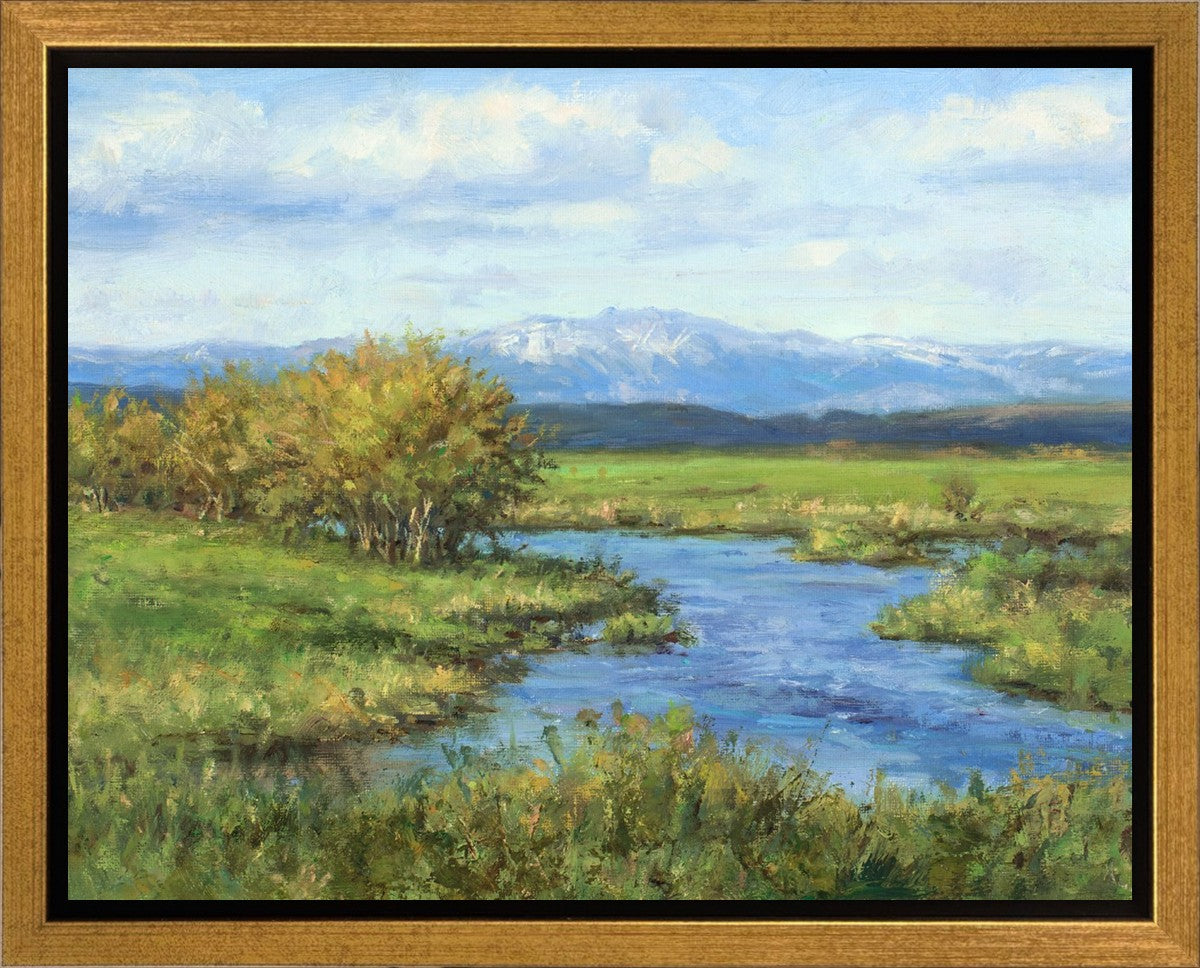 Spring Runoff on Camas Creek