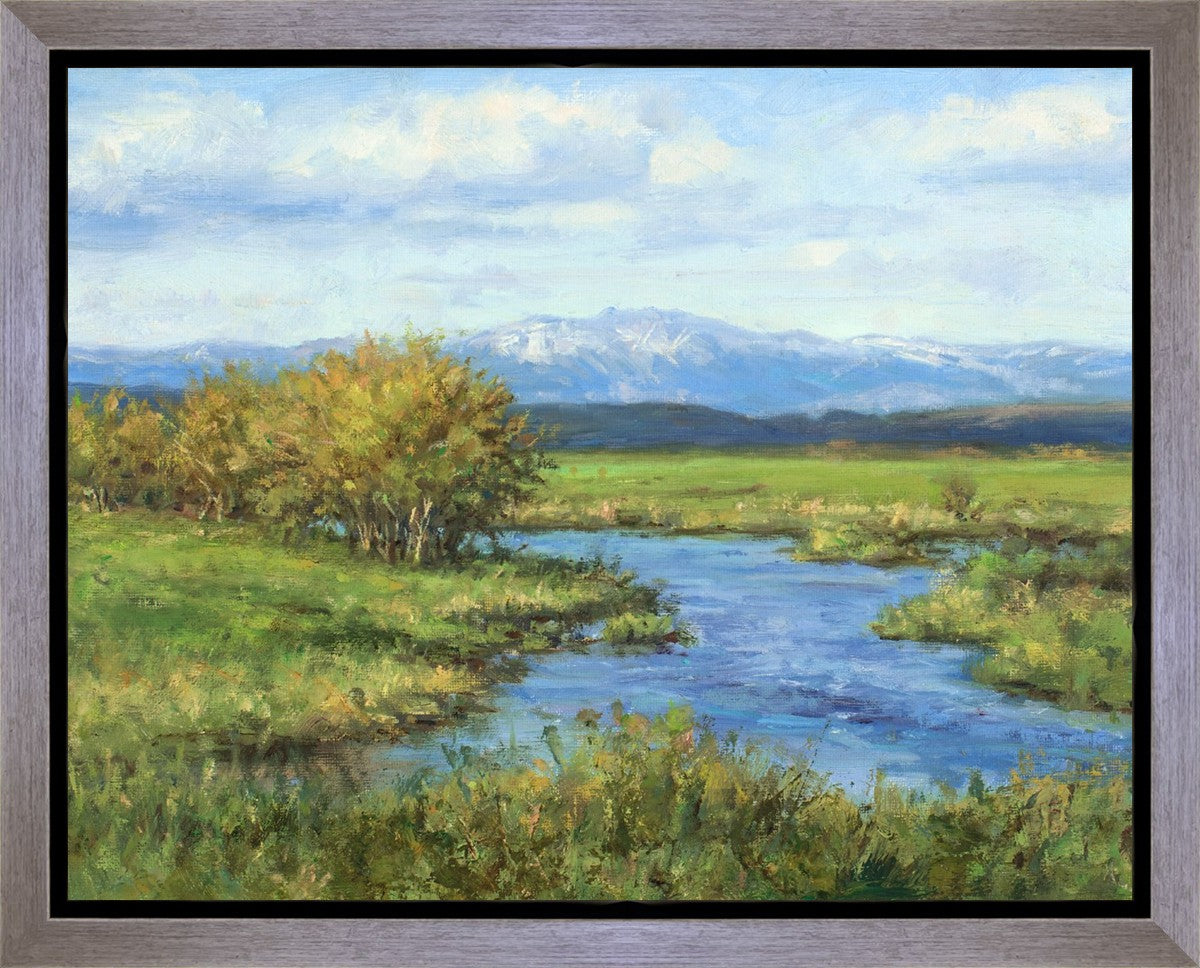 Spring Runoff on Camas Creek