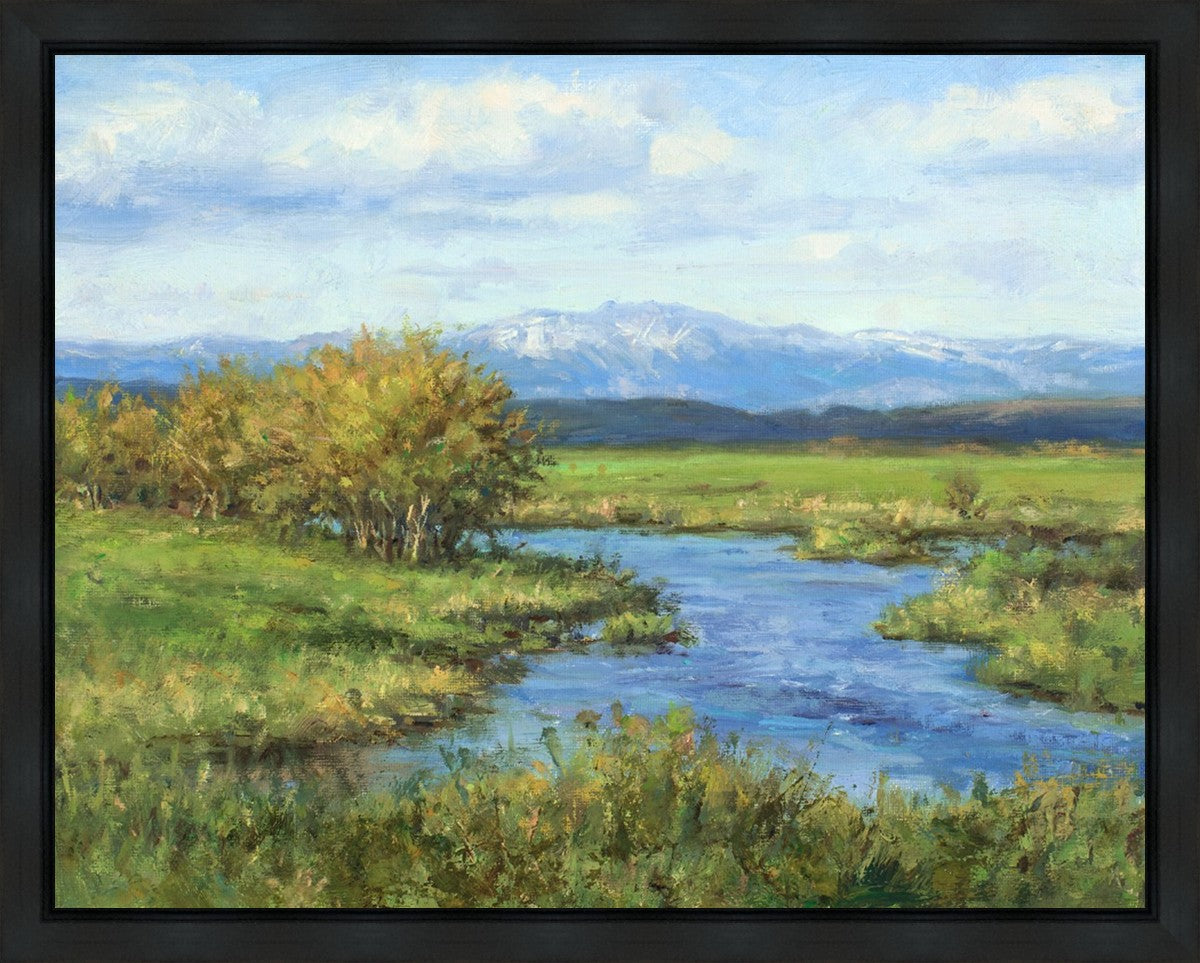 Spring Runoff on Camas Creek