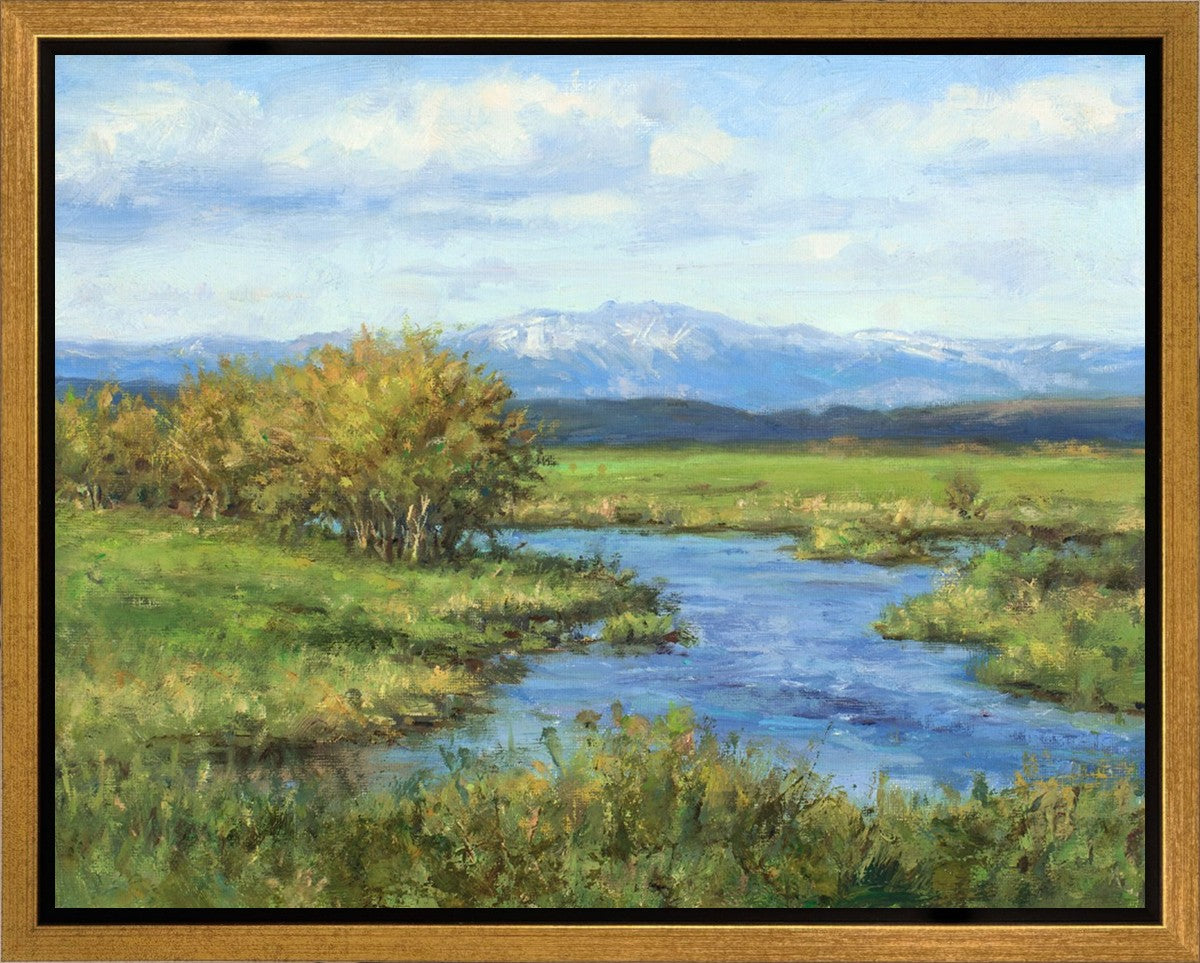 Spring Runoff on Camas Creek